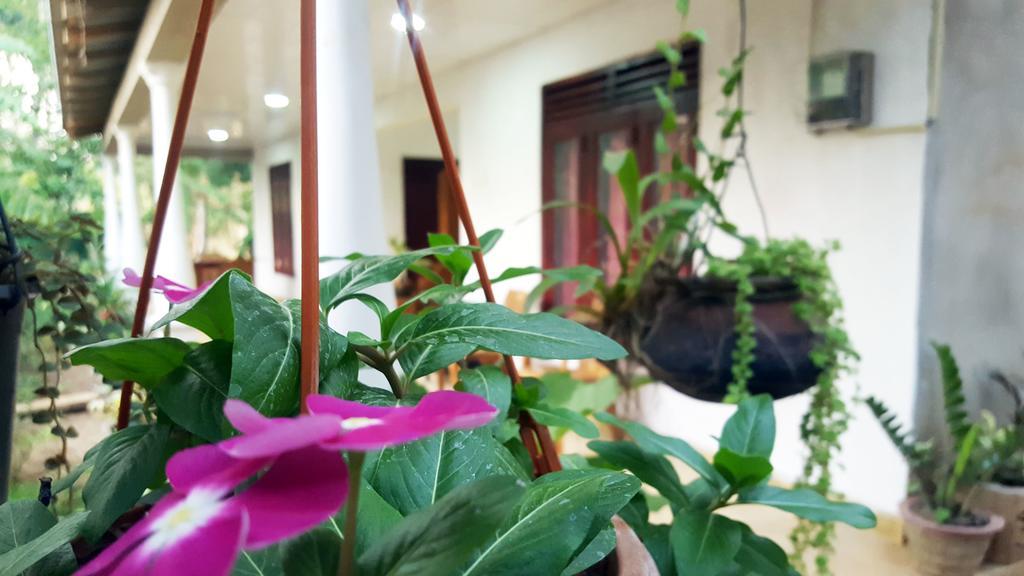 Kassapa Home Stay Sigiriya Esterno foto